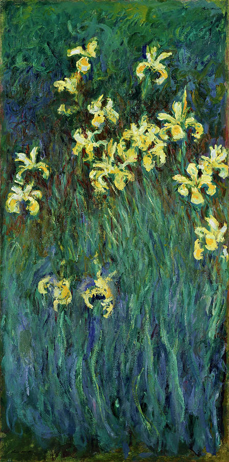 Claude Monet Painting - Yellow Irises #7 by Claude Monet