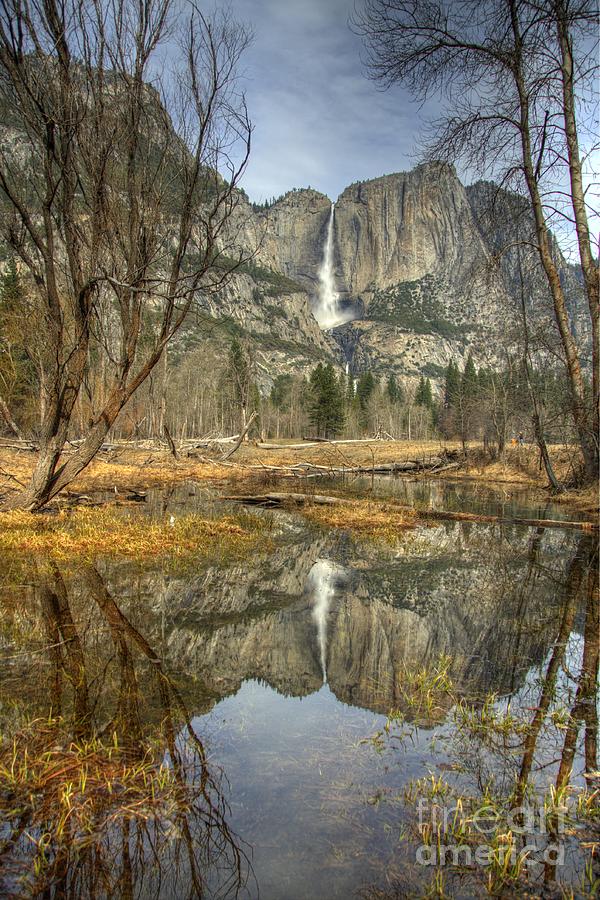Yosemite #7 Photograph by Marc Bittan