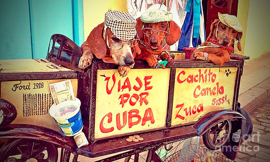 City Photograph - Havana, Cuba #72 by Chris Andruskiewicz