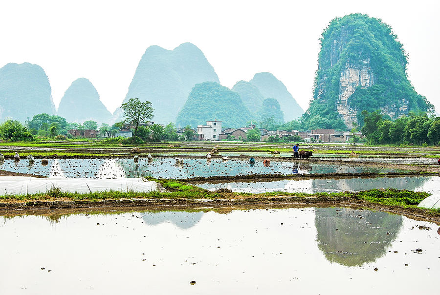 Karst rural scenery in spring #70 Photograph by Carl Ning