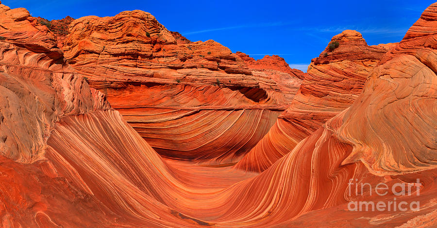 Sunny Coyote Buttes Wave Panorama Photograph by Adam Jewell