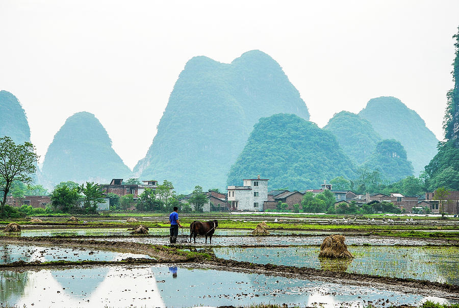Karst rural scenery in spring #71 Photograph by Carl Ning