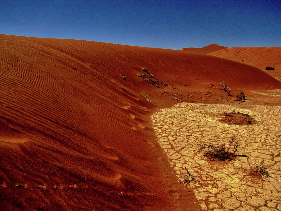 Namibia #71 Photograph by Paul James Bannerman