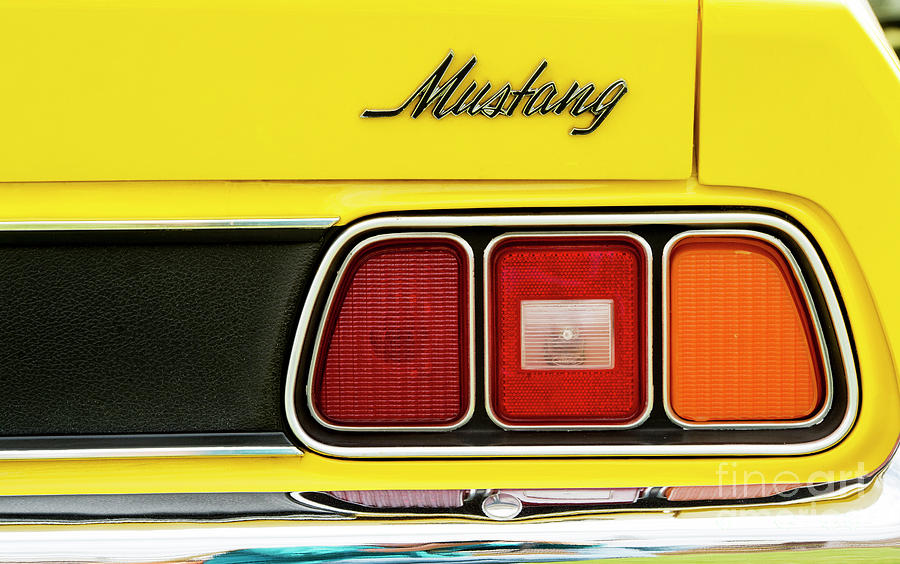 71 Yellow Mustang Photograph by Tim Gainey