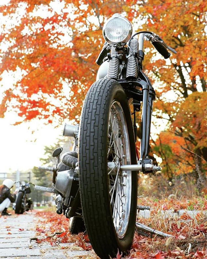 Harley Photograph - Instagram Photo #711555629940 by Takahashi Kaoru