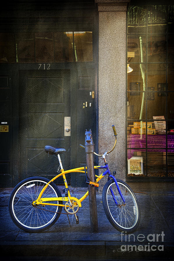 712 Yellow Blue Bike Photograph by Craig J Satterlee