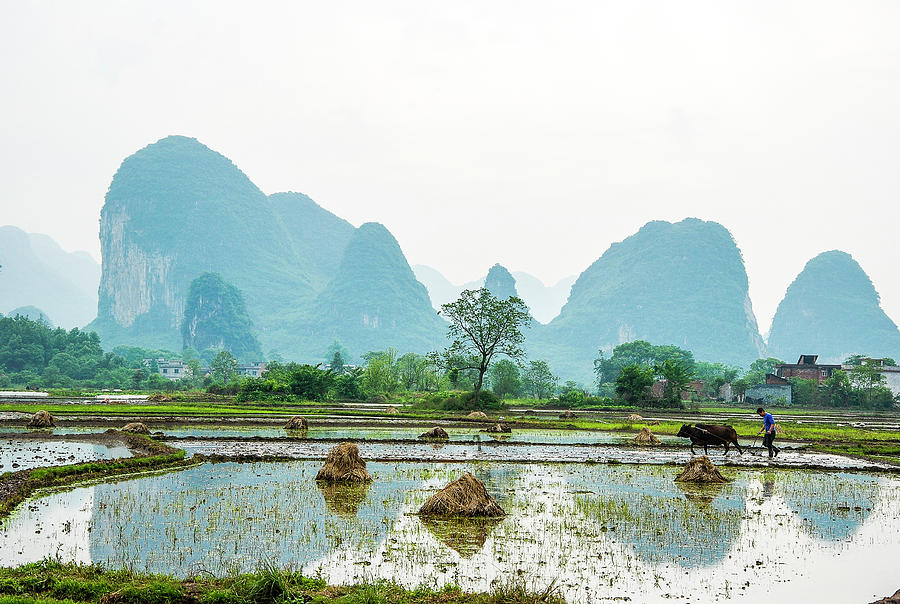 Karst rural scenery in spring #72 Photograph by Carl Ning