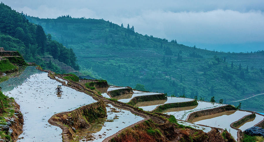 Longji terraced fields scenery #72 Photograph by Carl Ning