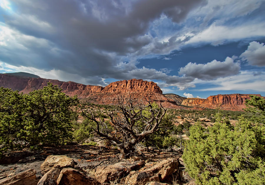 Capitol Reef National Park #724 Photograph by Mark Smith