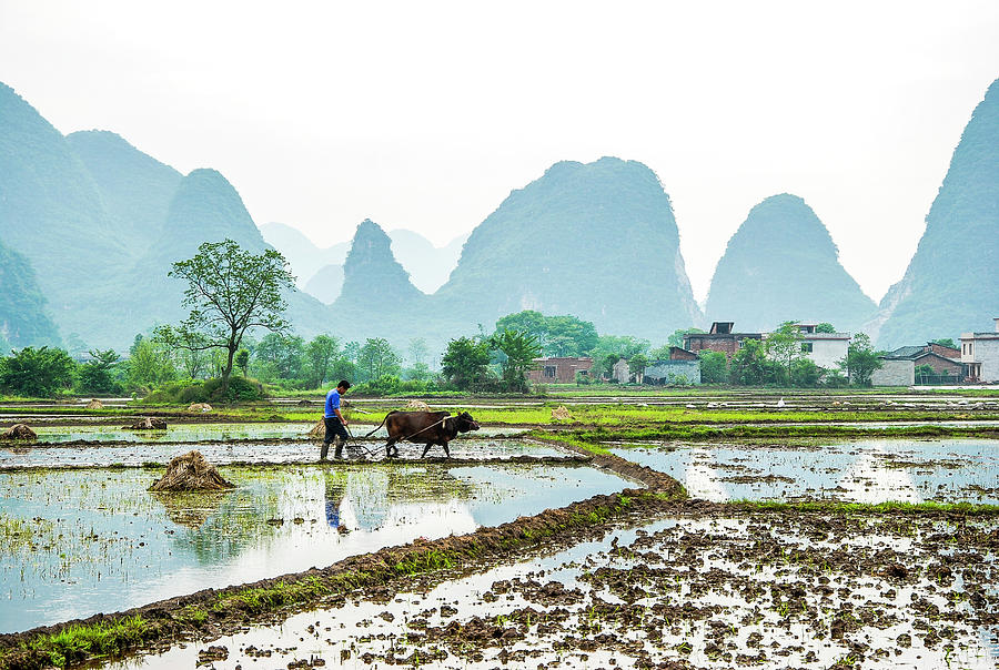 Karst rural scenery in spring #73 Photograph by Carl Ning