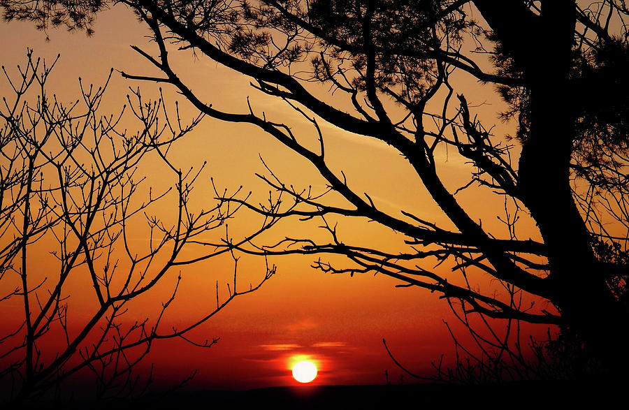 Sunset Digital Art - Sunset #73 by Super Lovely