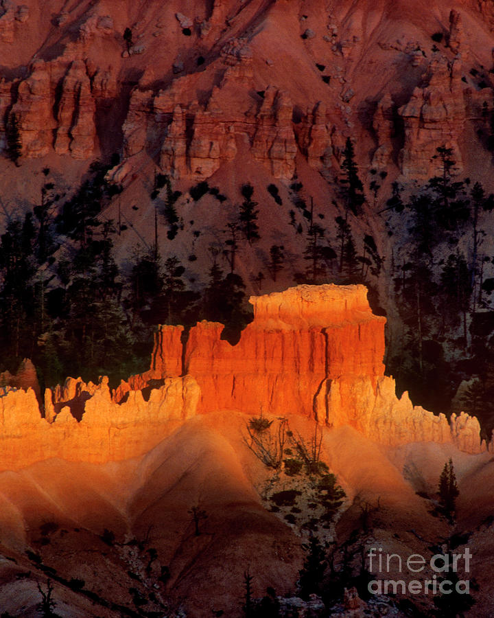 730750092cv Hoodoos Sunset Bryce Canyon National Park Utah Photograph by Dave Welling