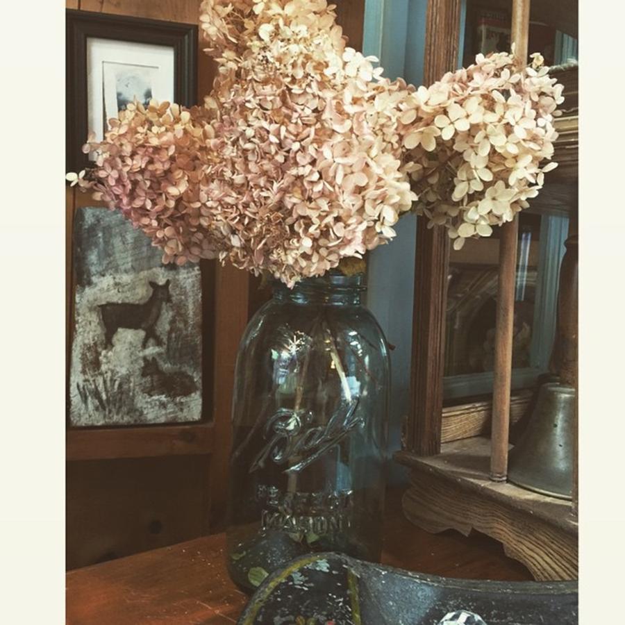 Flower Photograph - Instagram Photo by Tabitha Branthoover