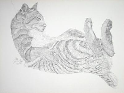 Limited Edition Drawing - Lazy by Joanie Arvin Limited Edition Drawing - Lazy by Joanie Arvin