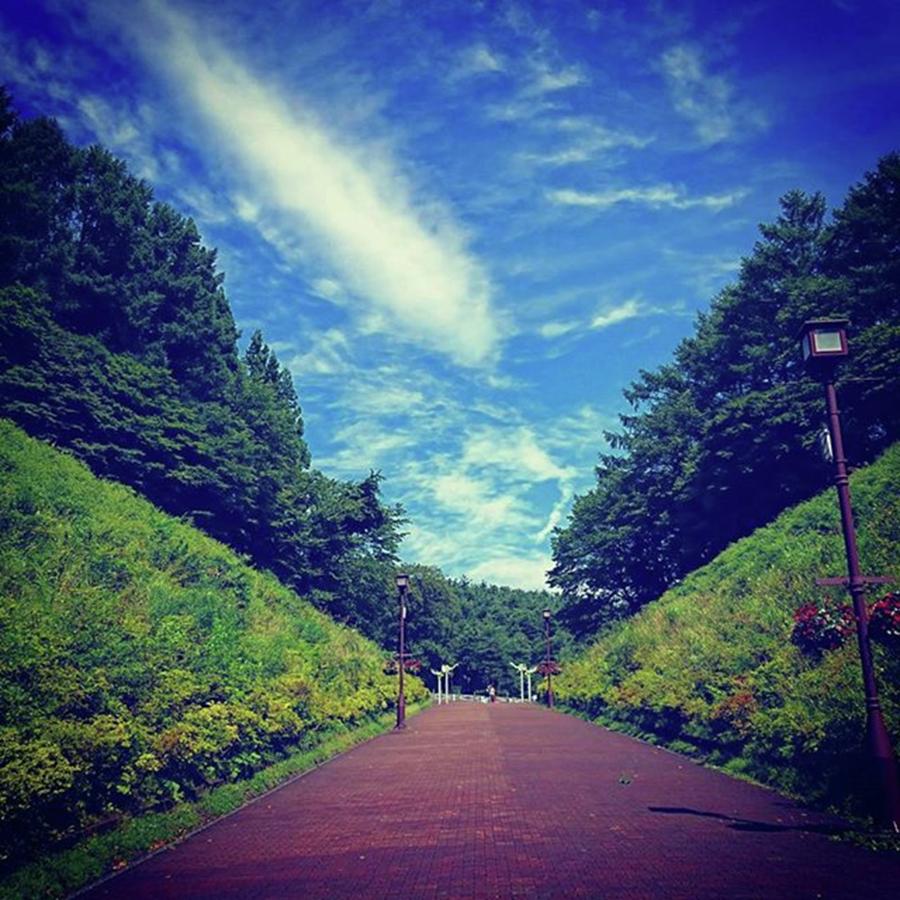 Instagram Photo #731516084697 Photograph by Mana Suto