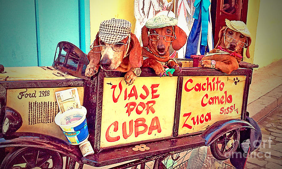Vintage Photograph - Havana, Cuba #71 by Chris Andruskiewicz