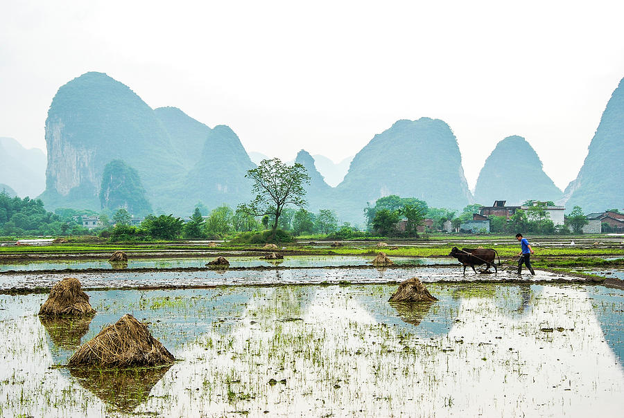 Karst rural scenery in spring #74 Photograph by Carl Ning