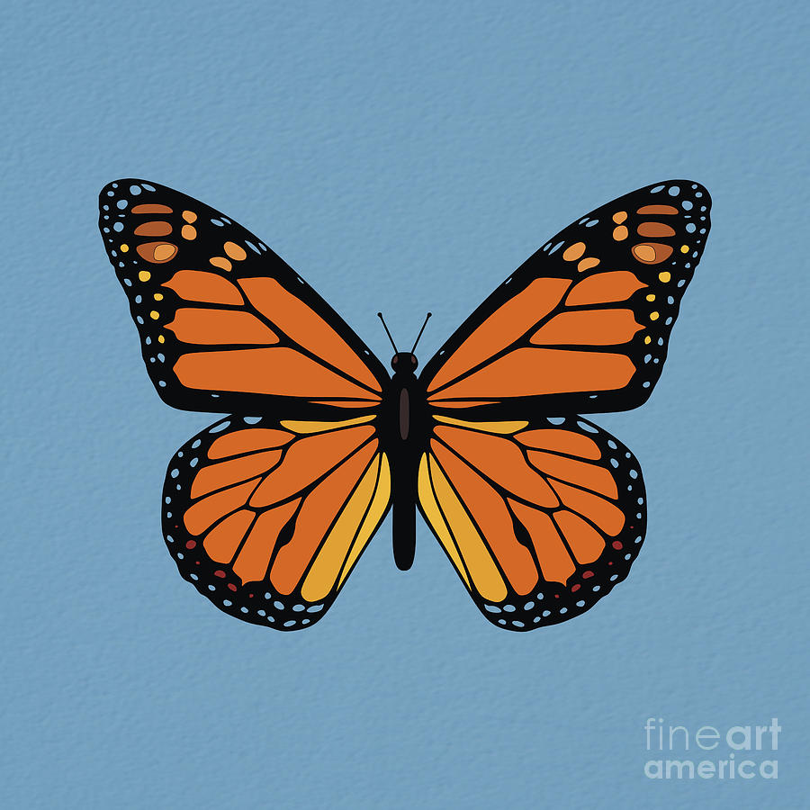 74- Monarch Butterfly Photograph by Joseph Keane