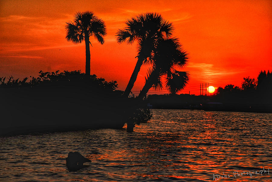Sunset Photograph - 75 Island Sunset by Allen Williamson