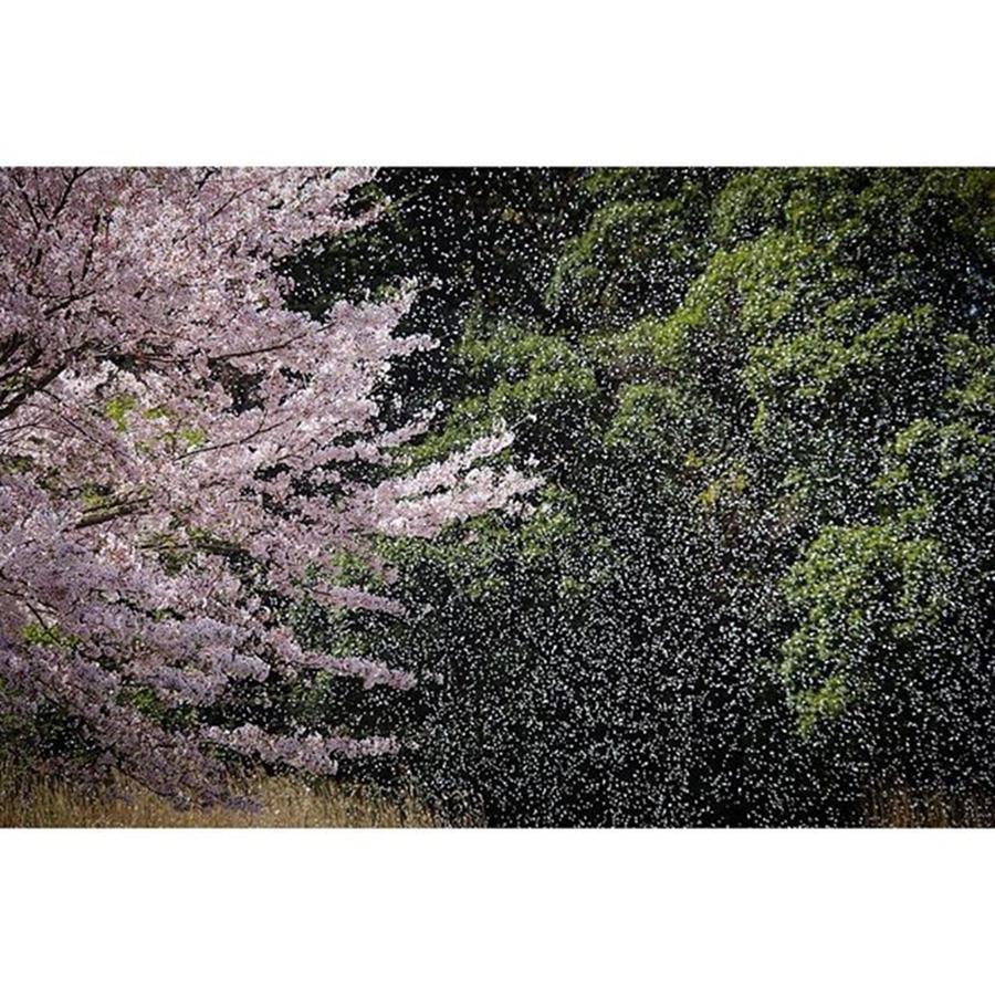 Breathtaking Photograph - Instagram Photo #751460173357 by Hideki Sato