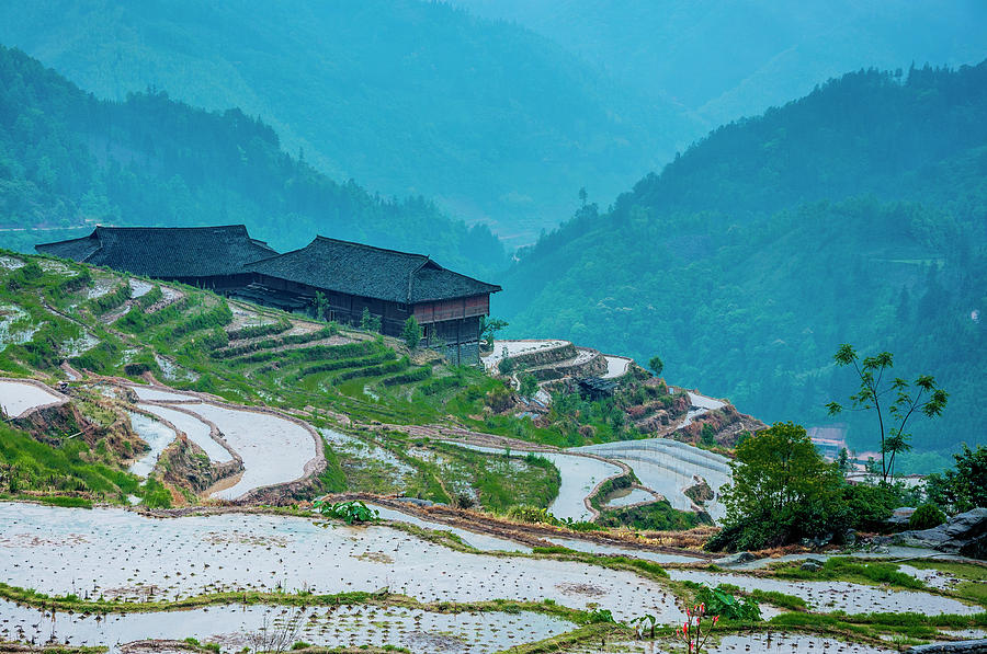 Longji terraced fields scenery #76 Photograph by Carl Ning