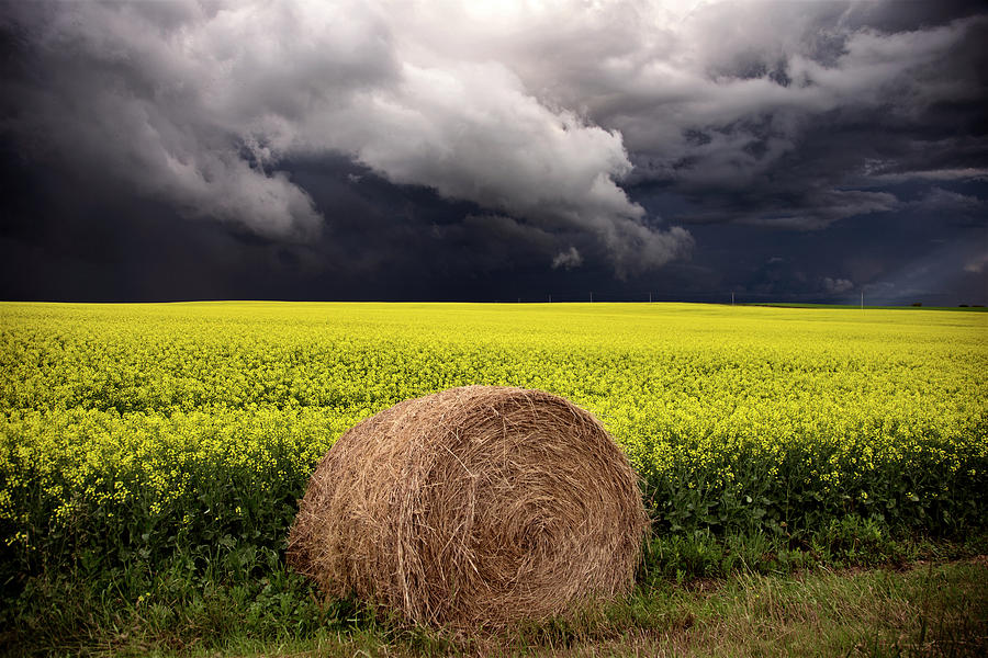 Summer Photograph - Storm Clouds Saskatchewan #77 by Mark Duffy