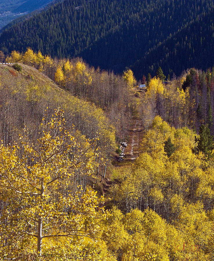 7742 Car Path in a Valley of Aspens Photograph by John Prichard