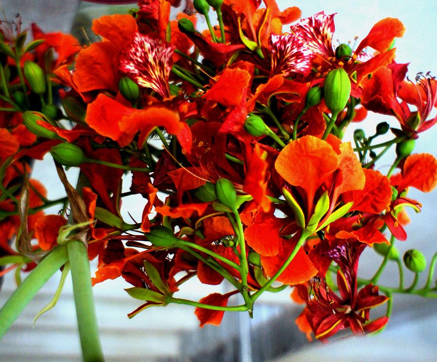 Flower Pyrography - Love Flowers #778 by Baljit Chadha