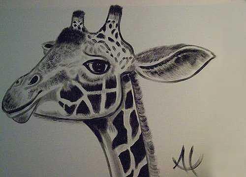 Giraffe Painting - G-Raf by Al Borrego Giraffe Painting - G-Raf by Al Borrego