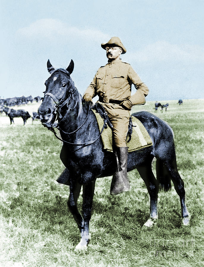 Theodore Roosevelt  #79 Photograph by Granger