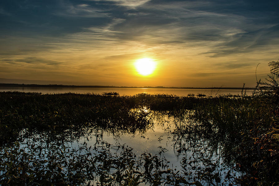 7ss Sunset Lake Lowell Photograph by Michael Johnston - Fine Art America