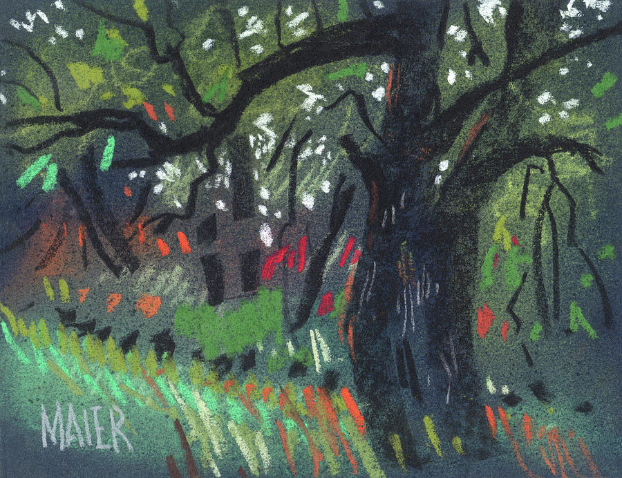 Tree Drawing - Across the Creek #8 by Donald Maier