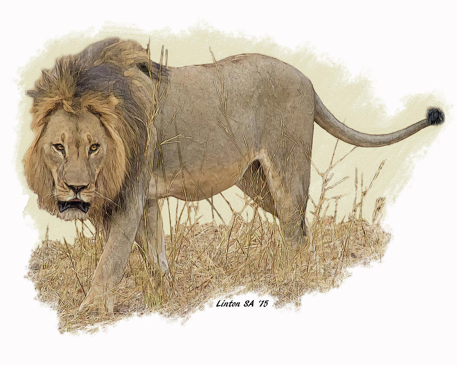 African Lion #8 Digital Art by Larry Linton