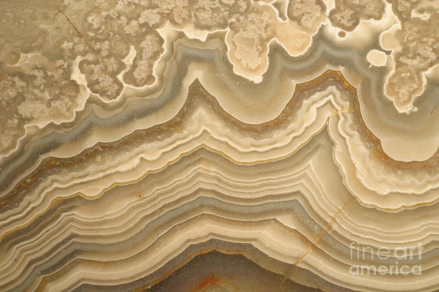 Agate #8 Photograph by Ted Kinsman