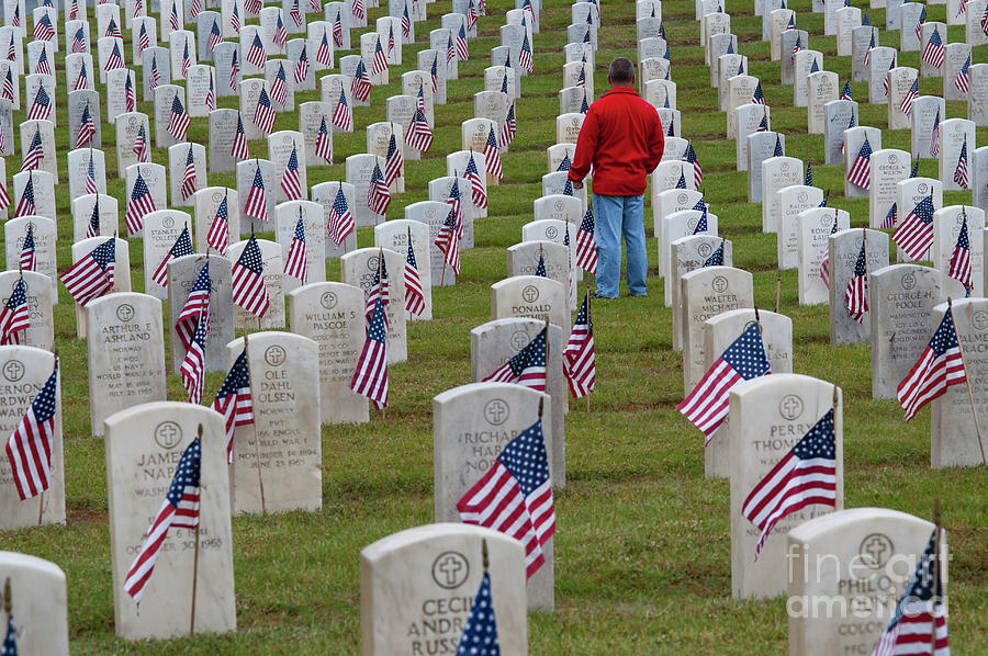 American Flags at Cemetery #8 Photograph by Jim Corwin