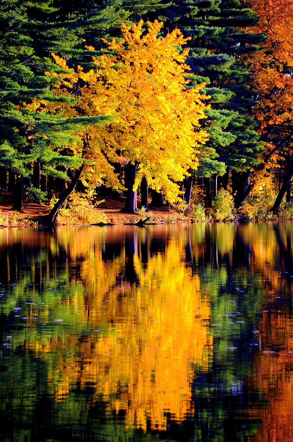 Autumn Colors #8 Digital Art by Aron Chervin