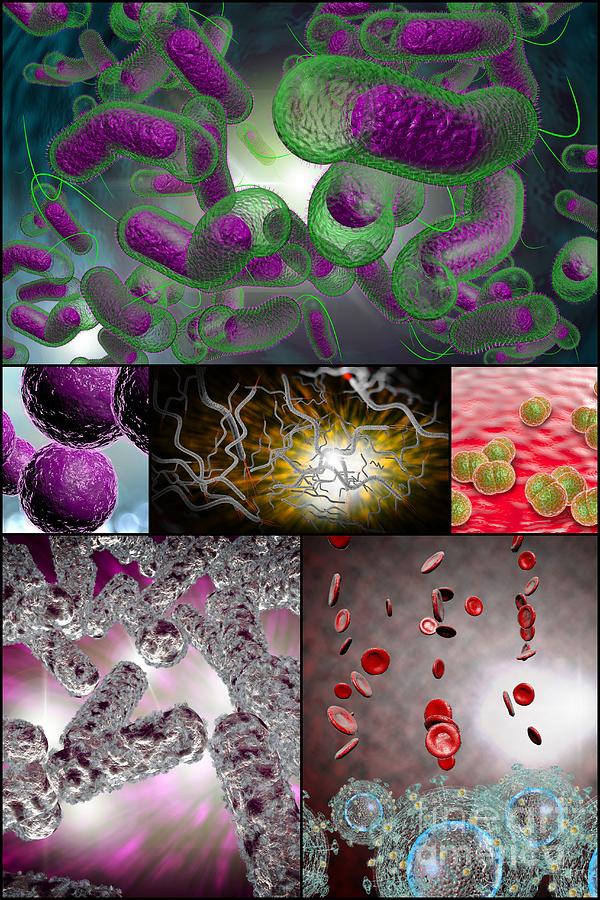 Bacteria Infection Collage Photograph By Ezume Images Fine Art America