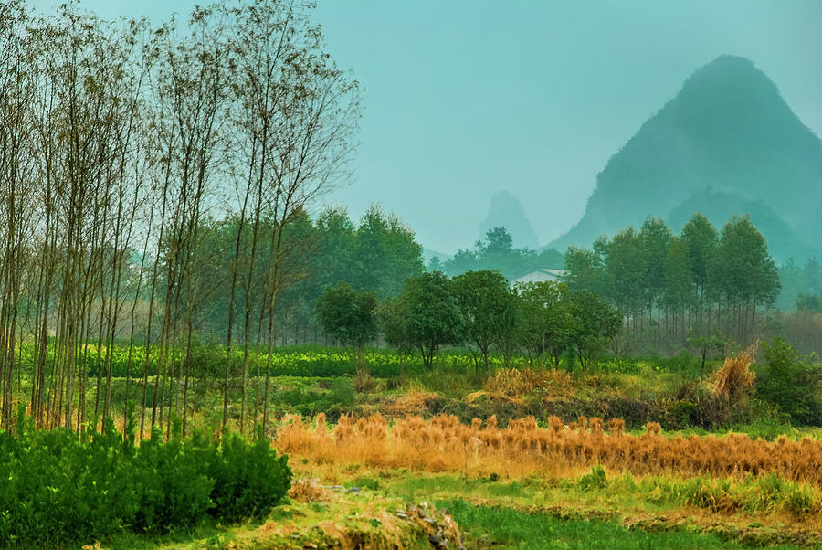 Beautiful countryside scenery in autumn #8 Photograph by Carl Ning