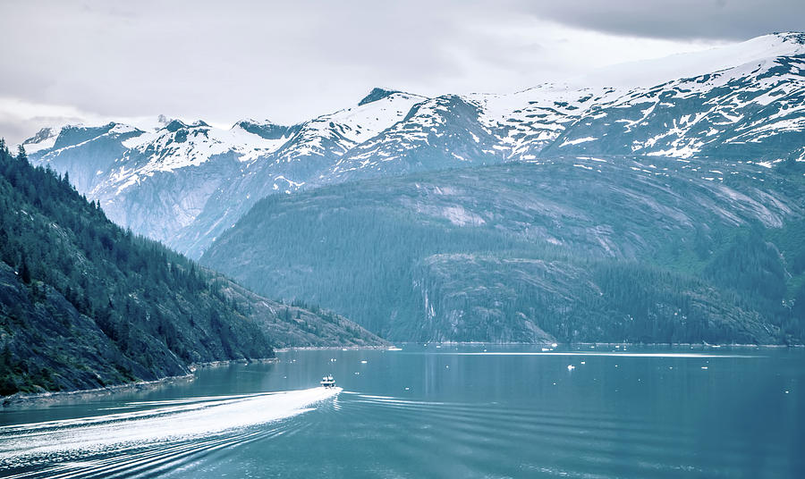 Beautiful Landscape In Alaska Mountains  #8 Photograph by Alex Grichenko