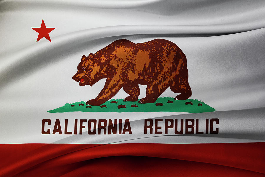 California flag #8 Photograph by Les Cunliffe