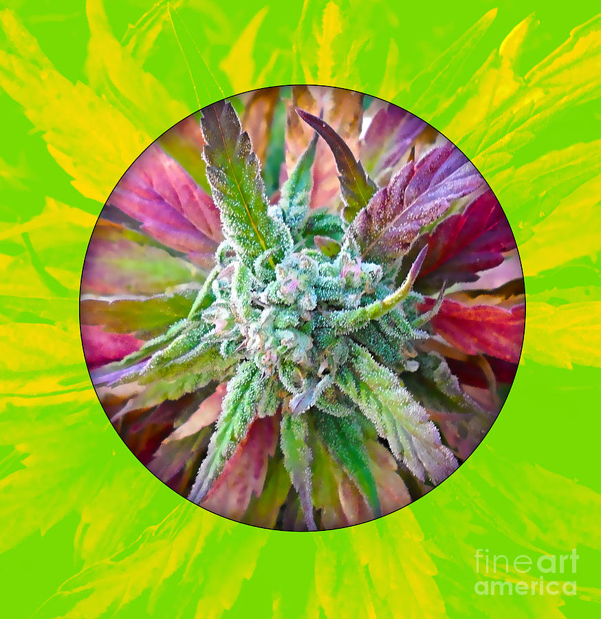 Cool Mixed Media - Cannabis 420 Collection #8 by Marvin Blaine