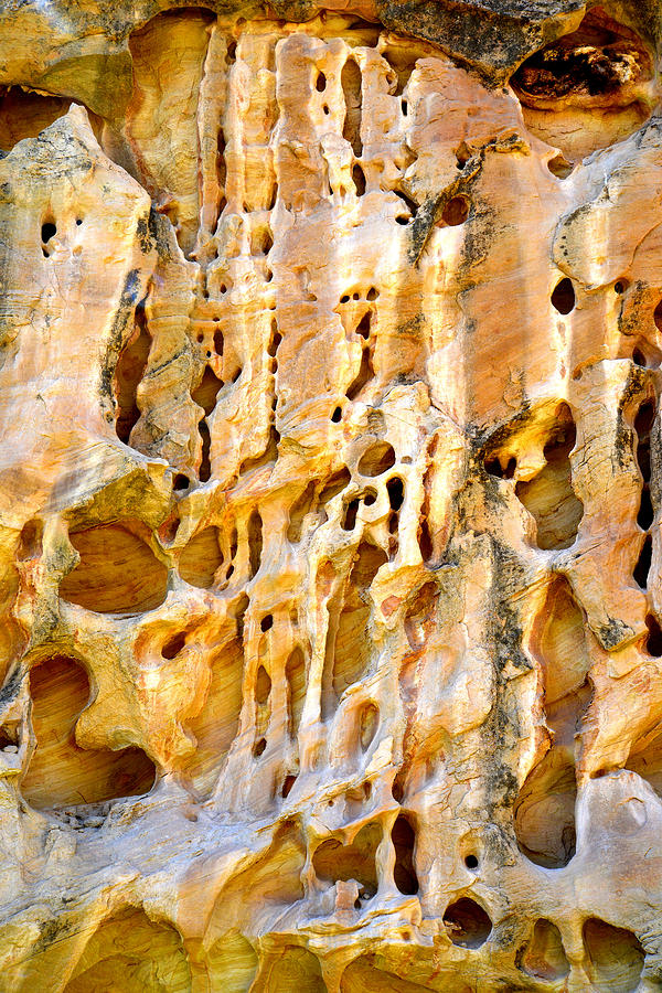 Capitol Reef Wall Art #32 Photograph by Ray Mathis