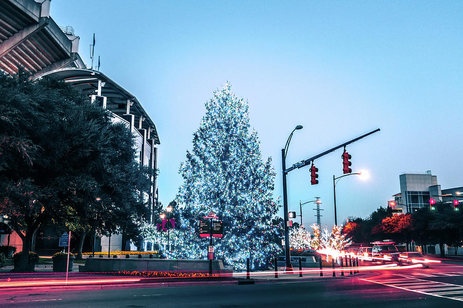 Christmas Season Decorations Around Charlotte North Carolina And #8 Photograph by Alex Grichenko