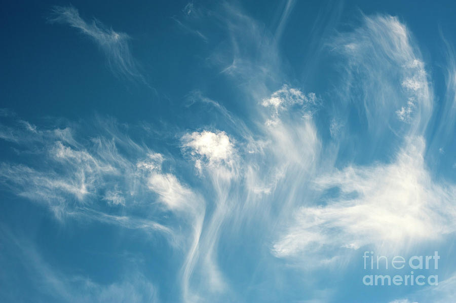 Cirrus Fibratus Fair Weather Clouds #8 Photograph by Jim Corwin