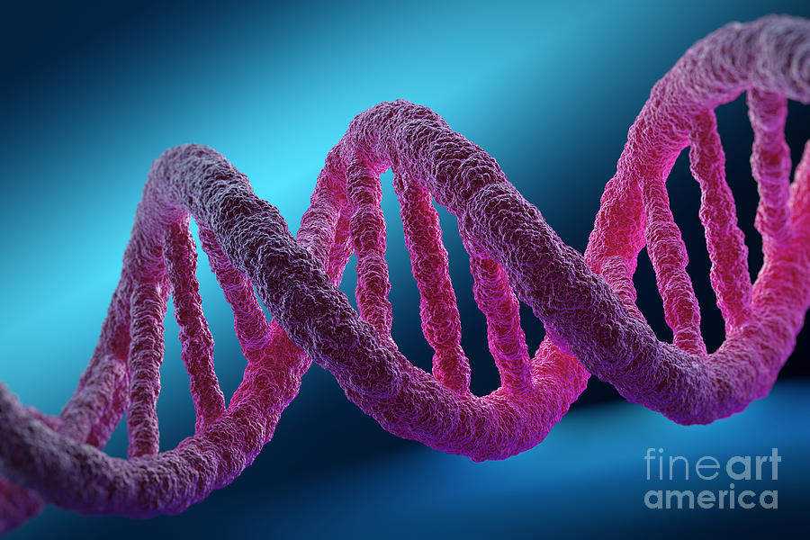 Dna Photograph - Dna Structure #8 by Science Picture Co