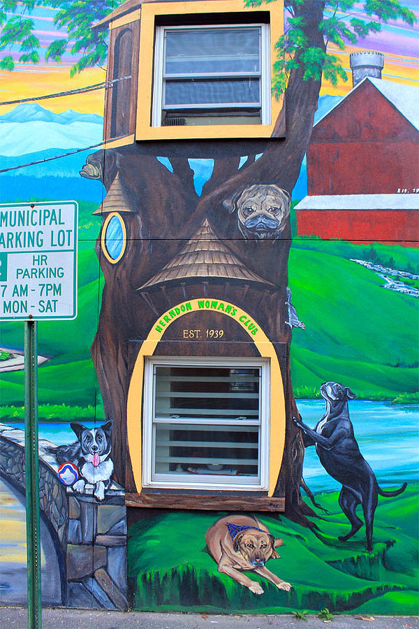 Dominion Animal Hospital mural Painting by Keith Naquin - Fine Art America