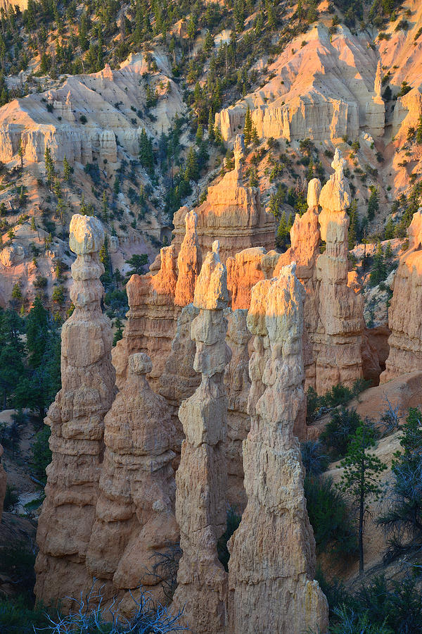 Fairyland Canyon #10 Photograph by Ray Mathis
