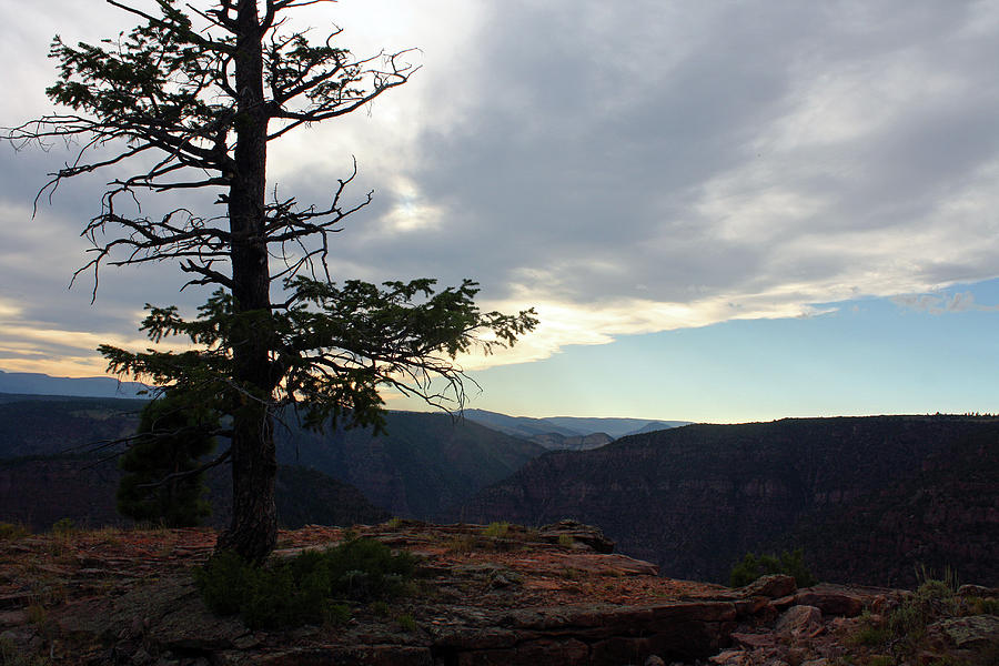 Flaming Gorge National Park #8 Photograph by Ellen Tully