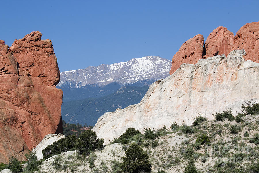 Garden of the Gods and Pikes Peak #8 Photograph by Steven Krull