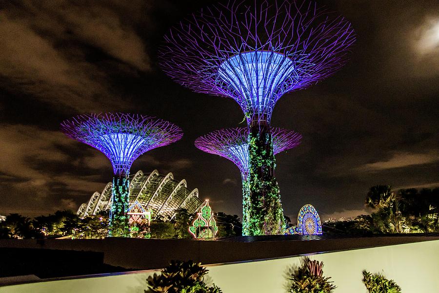 Garden Photograph - Gardens By The Bay #8 by David Rolt